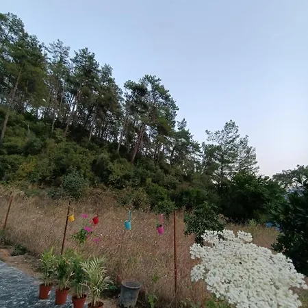 Dogayla Ic Ice Huzur Dolu Deneyim *
